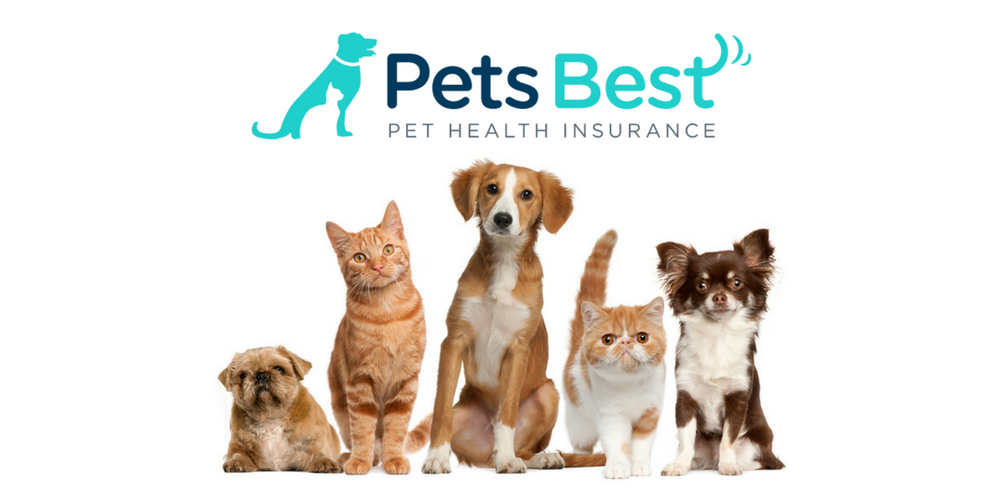 PetsBest FREE Pet Insurance Quotes